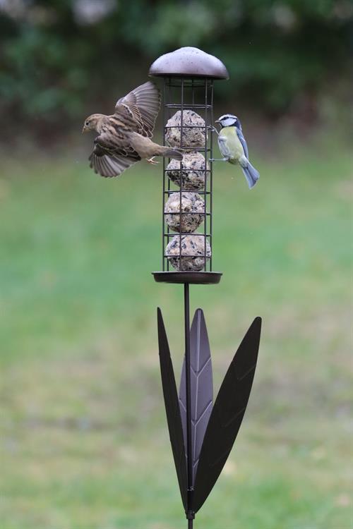 Bulrush Fat Ball Feeder