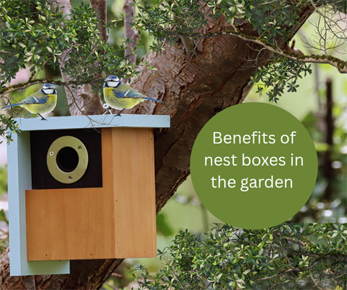 Nest Boxes in the garden