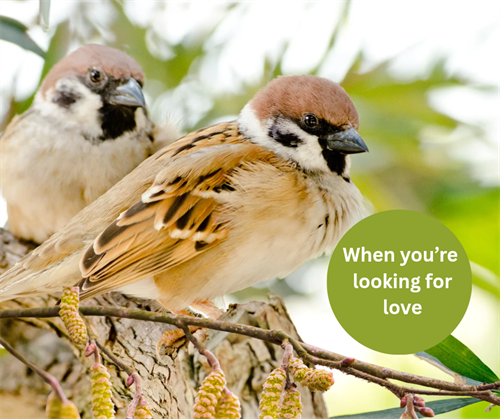 When you’re looking for love