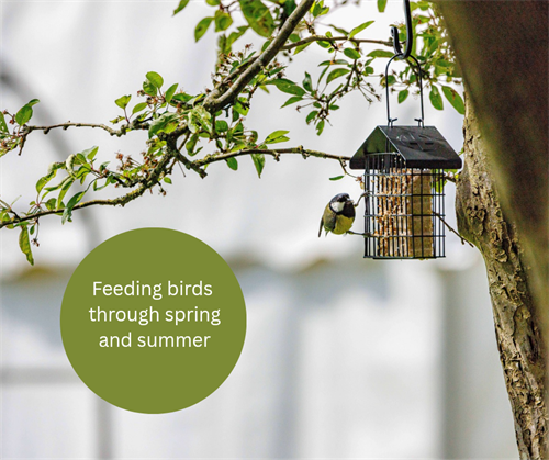 Feeding through spring and summer