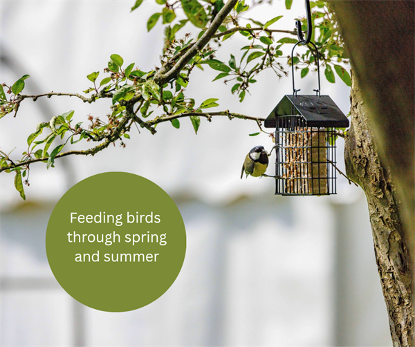 Feeding through spring and summer