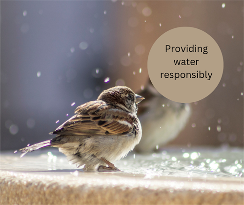 Providing water responsibly