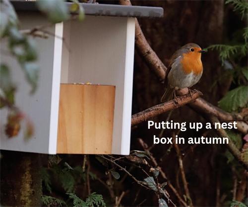 A Place to Nest and Shelter
